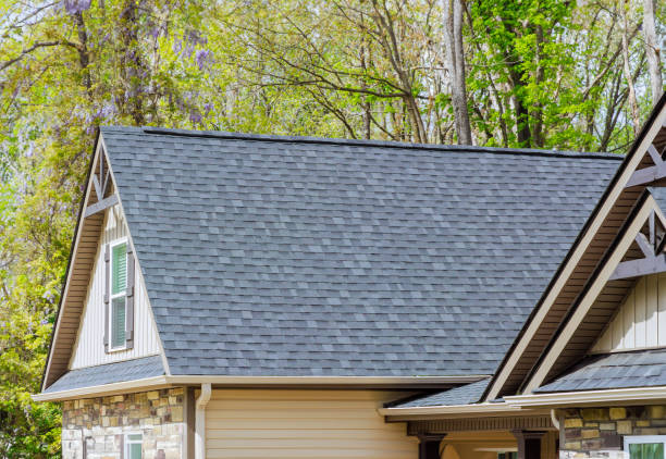 Best Roof Maintenance and Cleaning  in USA